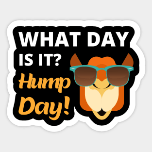 What Day Is It? Hump Day! Sticker